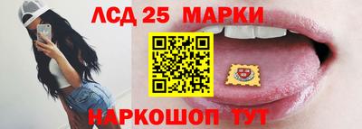 дмт Камышлов