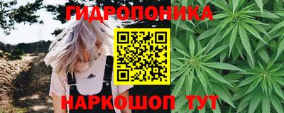скорость Канаш