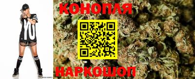 дмт Камышлов